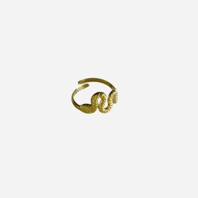 AG - Anel dourado snake