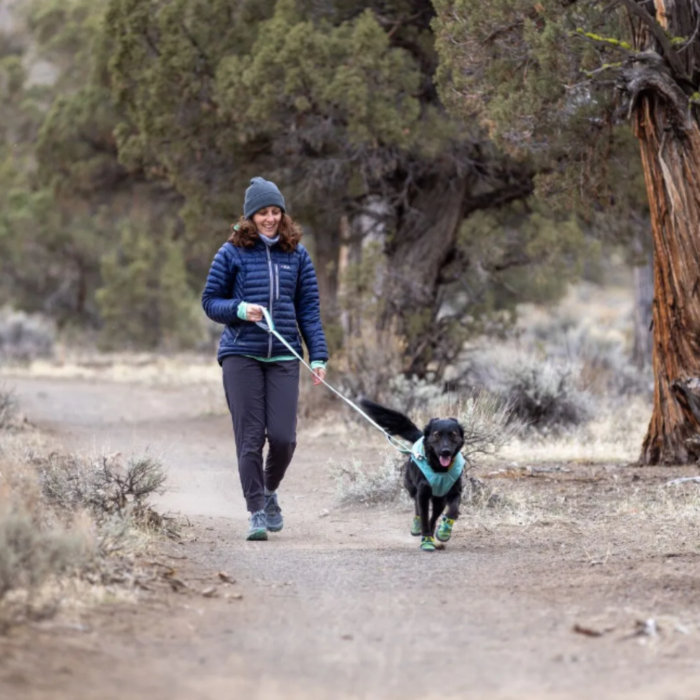 Roamer™ Bungee Dog Leash - Orion Blue Roamer™ Bungee Dog Leash - Orion Blue