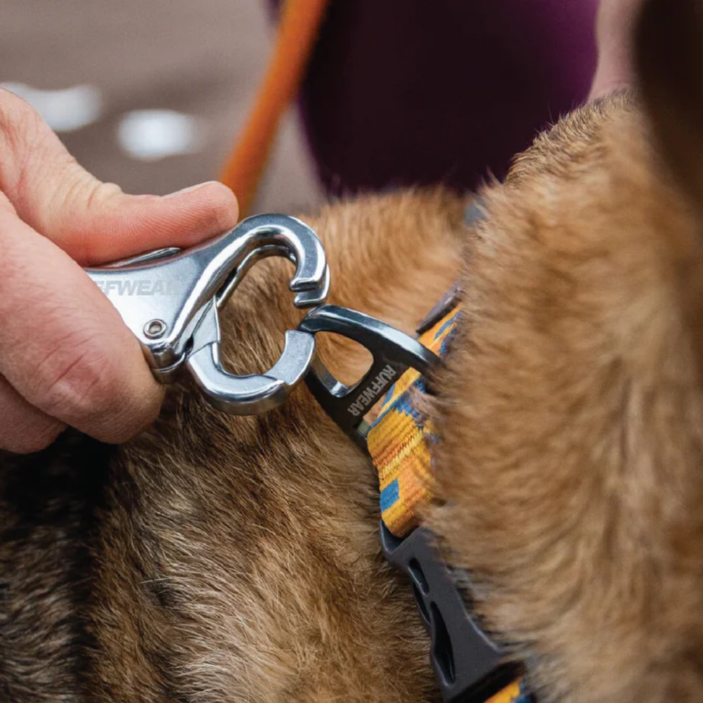 Roamer™ Bungee Dog Leash - Orion Blue Roamer™ Bungee Dog Leash - Orion Blue