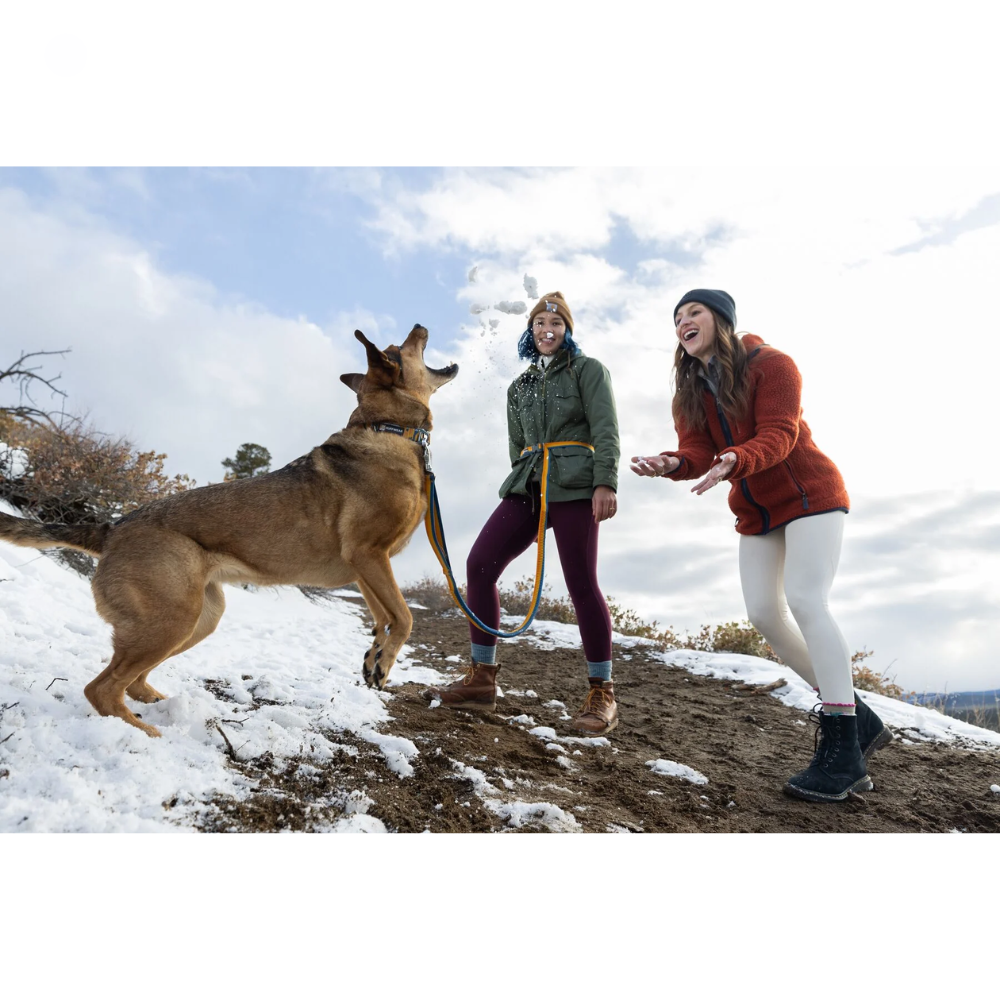 Roamer™ Bungee Dog Leash - Orion Blue Roamer™ Bungee Dog Leash - Orion Blue