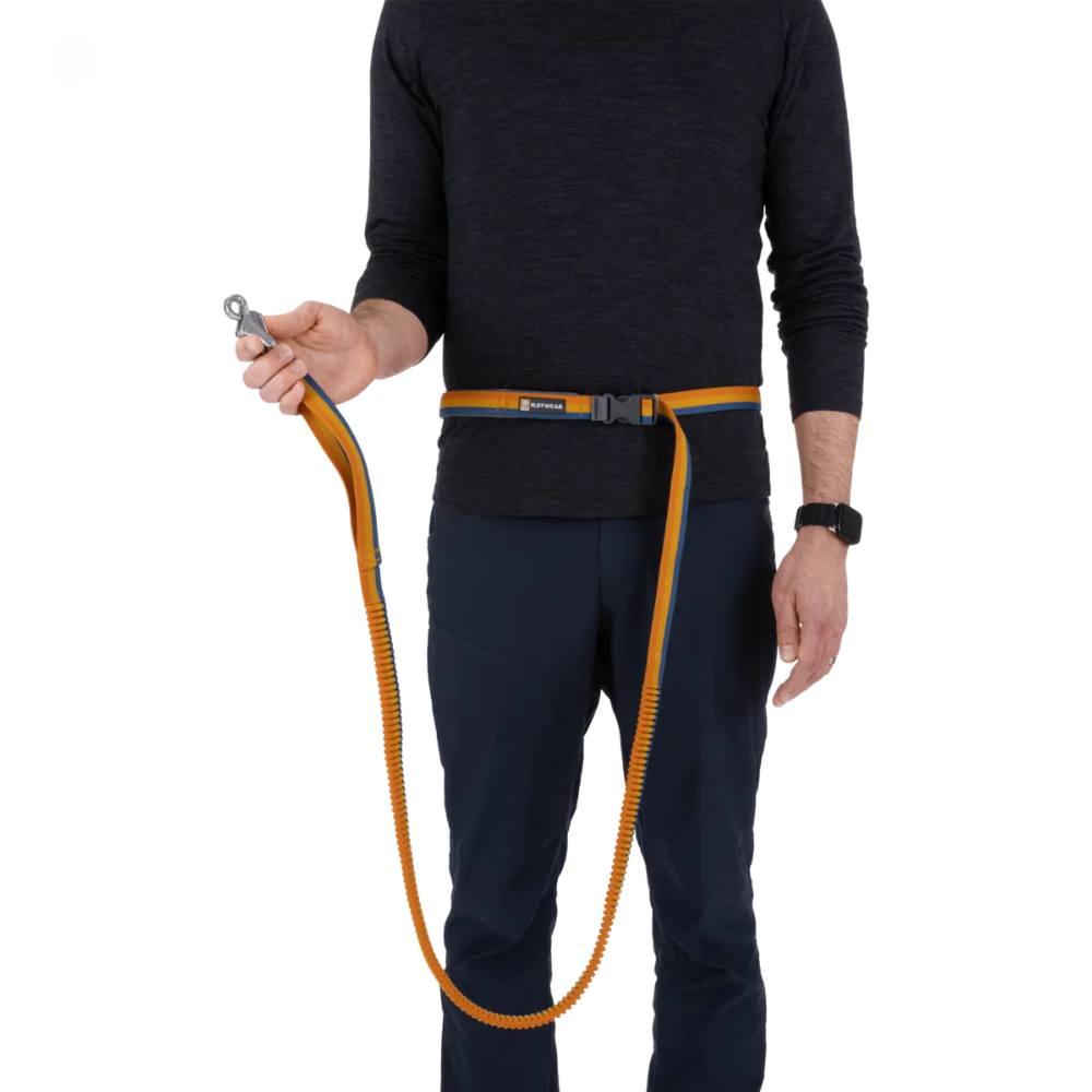 Roamer™ Bungee Dog Leash - Orion Blue Roamer™ Bungee Dog Leash - Orion Blue