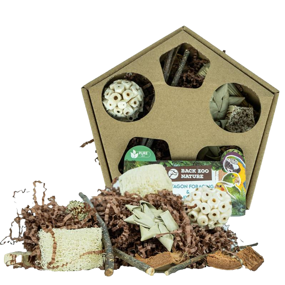 Back Zoo Nature Pentagon Caixa de Forrageamento e Brincadeira Back Zoo Nature Pentagon Caixa de Forrageamento e Brincadeira