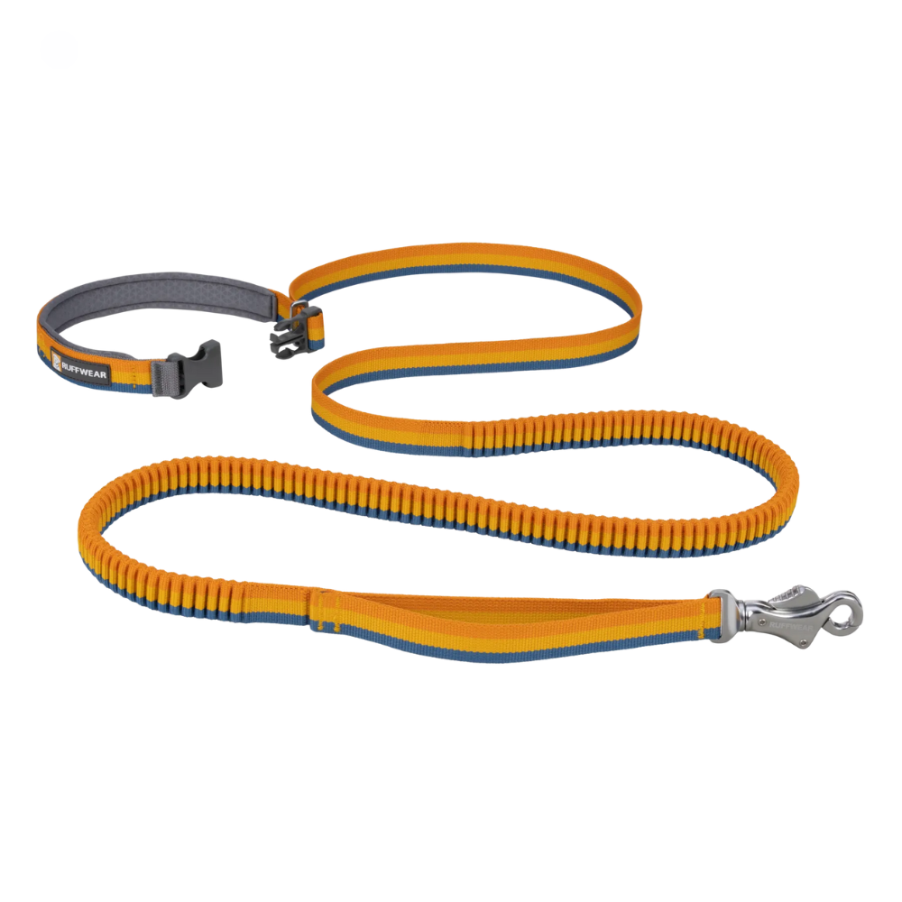Roamer™ Bungee Dog Leash - Yellow Snow Roamer™ Bungee Dog Leash - Yellow Snow