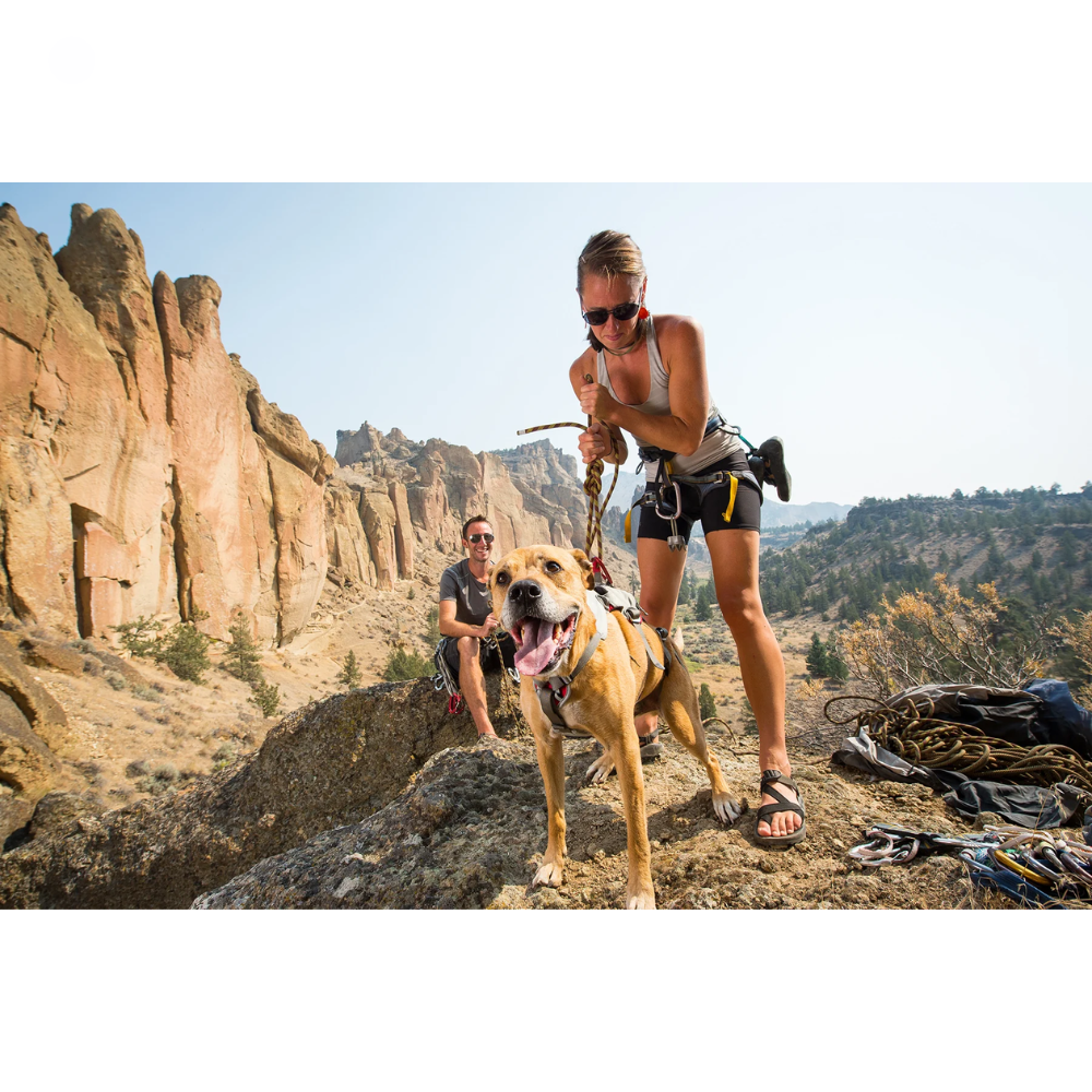 Doubleback™ Full Body Dog Harness Doubleback™ Full Body Dog Harness