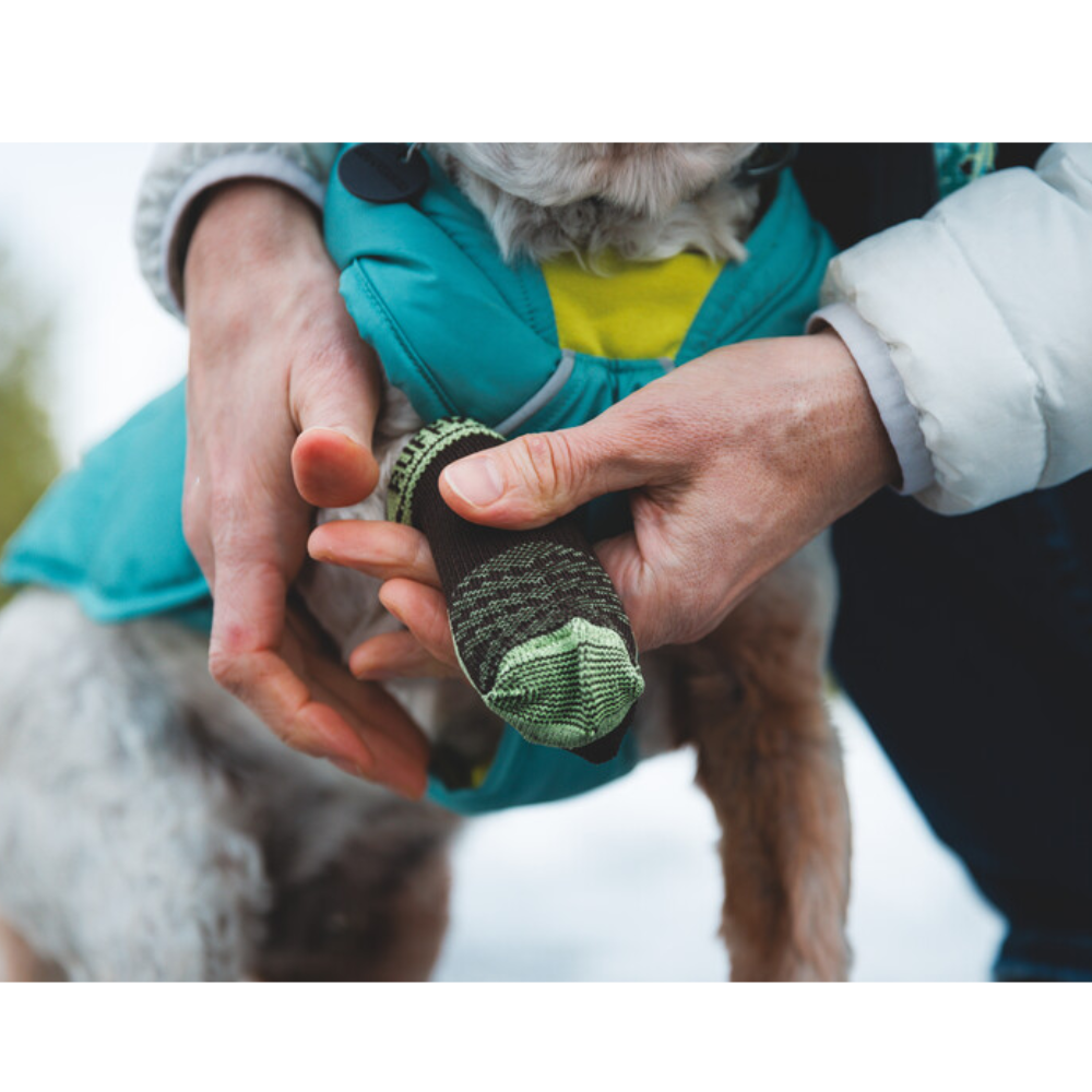 Bark’n Boot™ Dog Socks - Blue Pool Bark’n Boot™ Dog Socks - Blue Pool