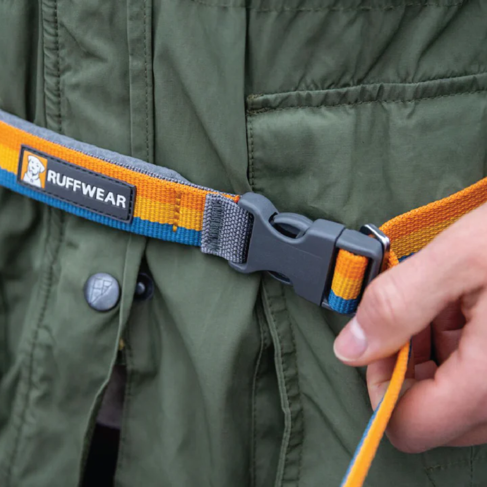 Roamer™ Bungee Dog Leash - Orion Blue Roamer™ Bungee Dog Leash - Orion Blue