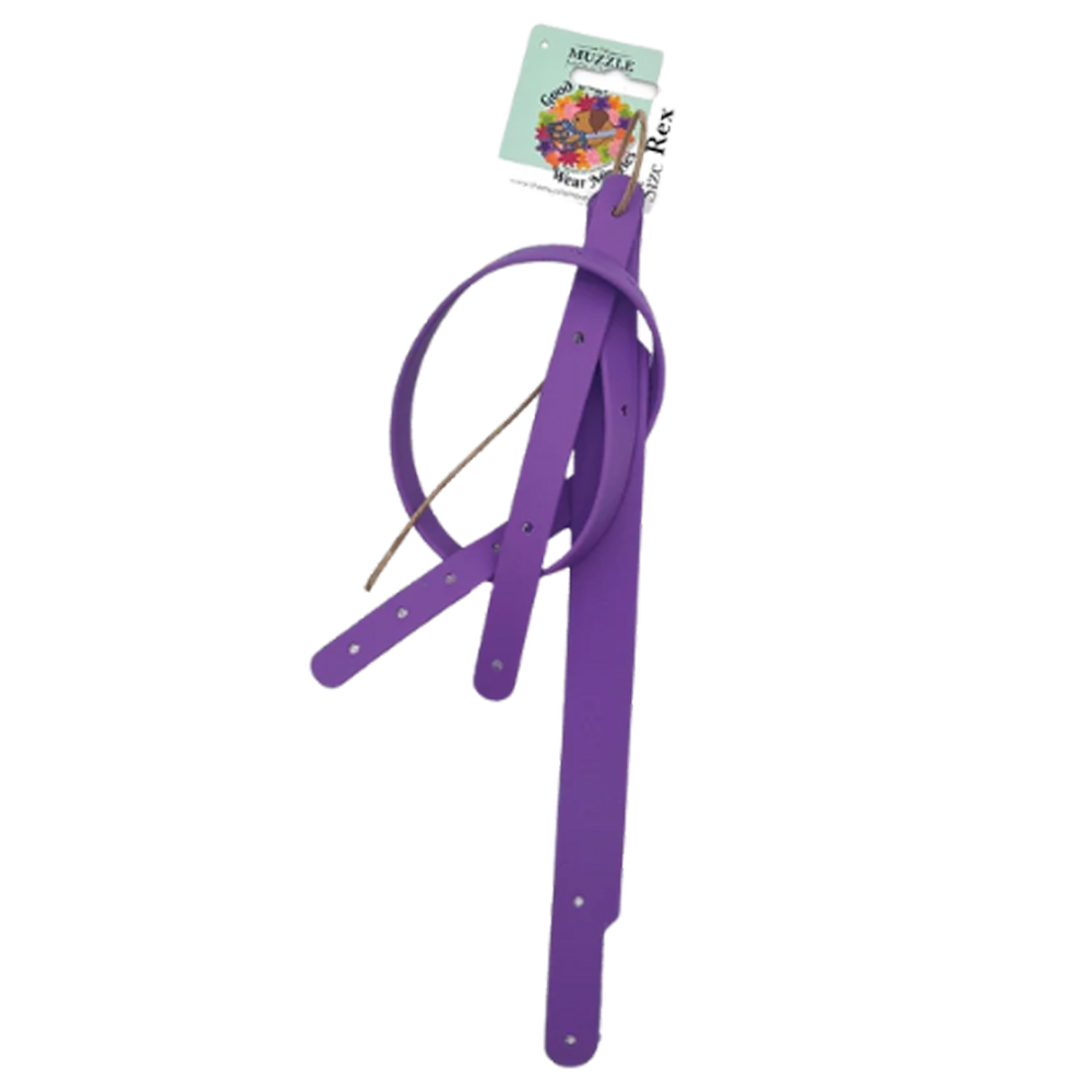 Conjunto de fitas de Biothane coloridas - Amethyst Purple - The Muzzle Movement Conjunto de fitas de Biothane coloridas - Amethyst Purple - The Muzzle Movement