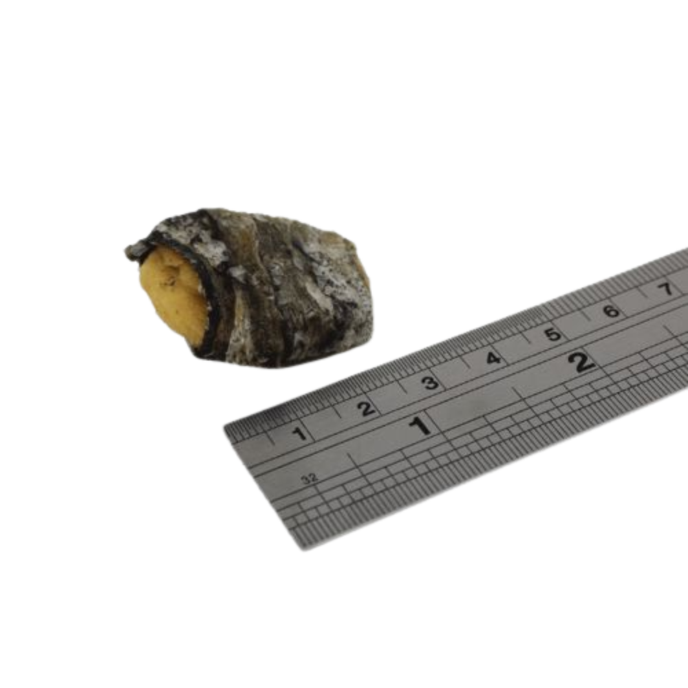 Banana Fish Wraps - 100g Banana Fish Wraps - 100g