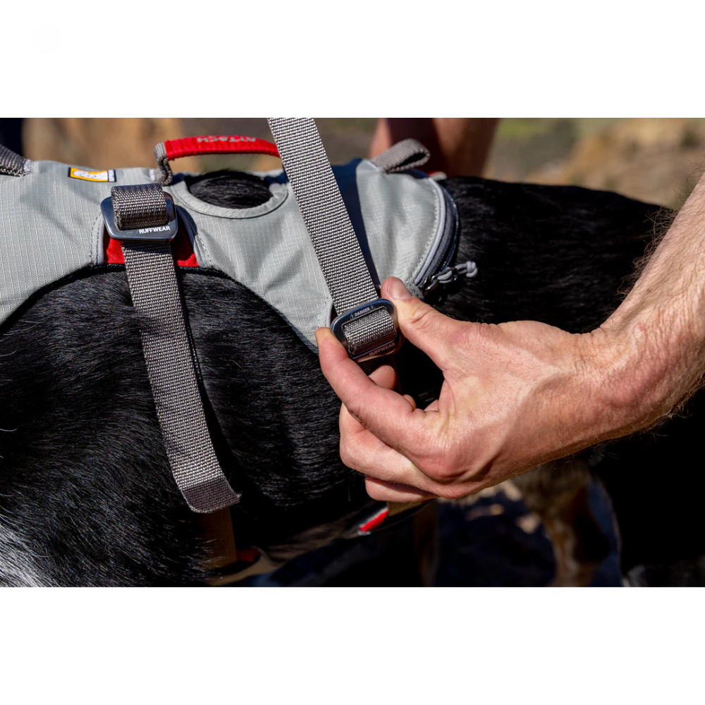 Doubleback™ Full Body Dog Harness Doubleback™ Full Body Dog Harness