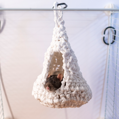Ninho Branco em crochet para roedores