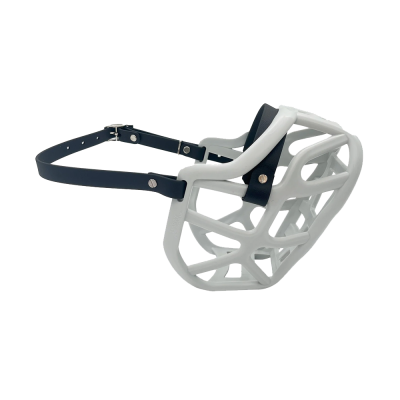 Harry - The Muzzle Movement