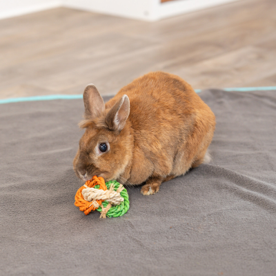 Argolas em Fibras de folhas de milho