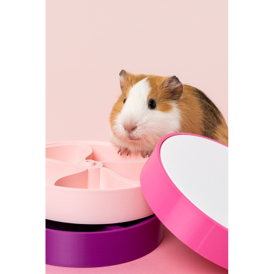 Large Spinner Foraging Toy