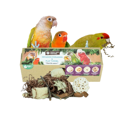 Back Zoo Nature Hexagon Forrageamento e Túnel de Brincadeiras