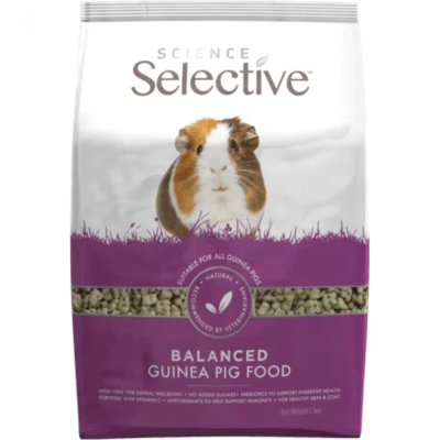 Science Selective - Porquinho da India