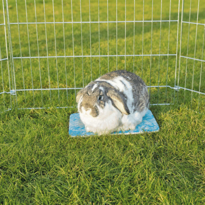 Placa de arrefecimento para pequenos animais