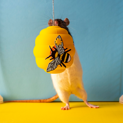Colmeia de Abelhas (bee hive) foraging toy