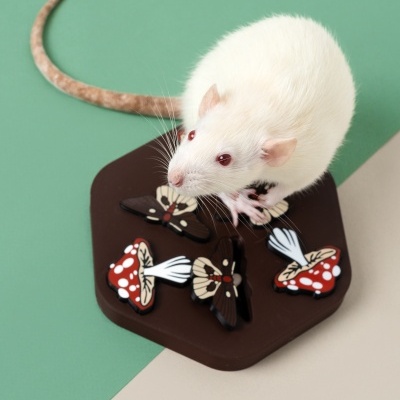 Tabuleiro de Foraging cogumelos e traças