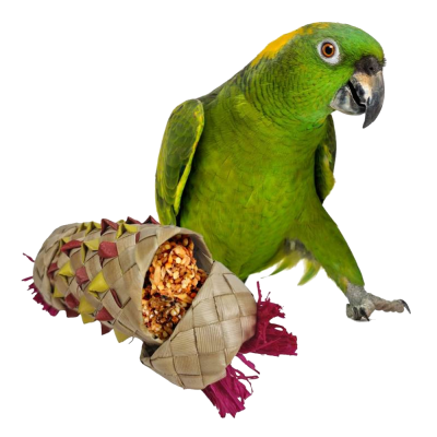 Cilidro colorido para foraging