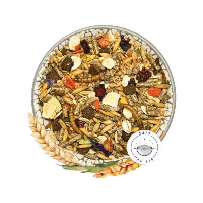 Dwarf Hamster Dream - Basic - Bunny Nature