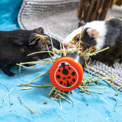 Joaninha Rolling Foraging Toy