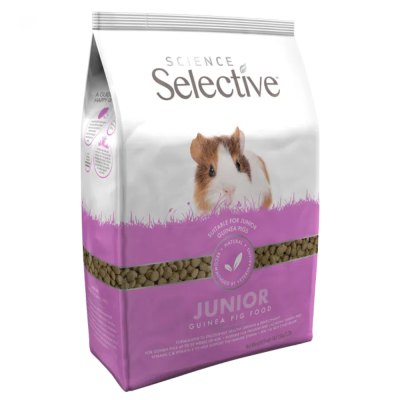 Science Selective Junior - Porquinho da India