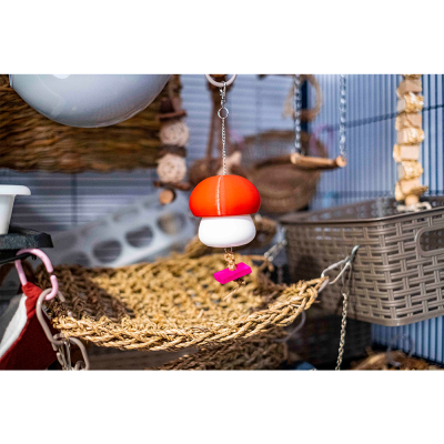 Foraging Mushroom - Vermelho