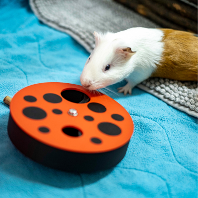 Joaninha Large Spinner Foraging Toy