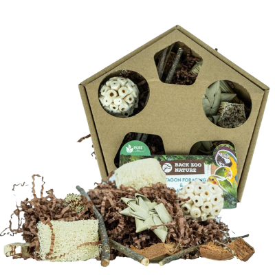 Back Zoo Nature Pentagon Caixa de Forrageamento e Brincadeira