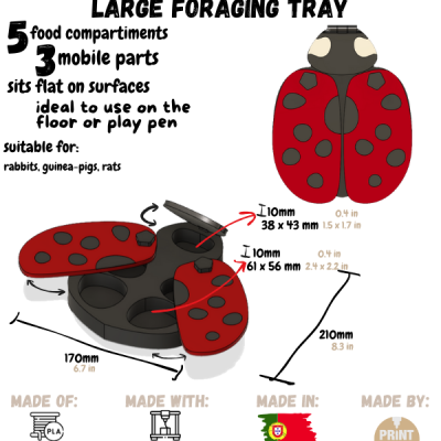 Joaninha Tabuleiro de Foraging