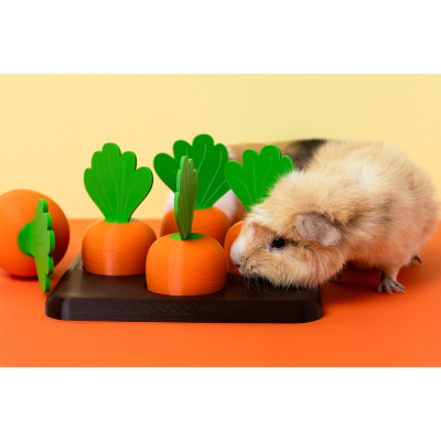 Tabuleiro de Foraging de Cenouras