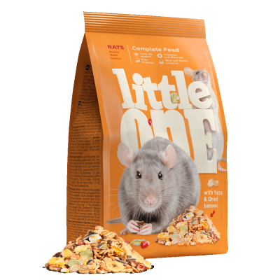 Little One - Ratazanas Domésticas