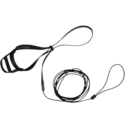 Aviator Azul - Bird Harness