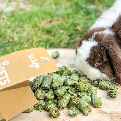 PETS Pellets de Alfalfa