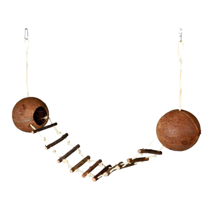 Casas de Coco com escada