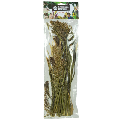 Espiga de panicum (50g)