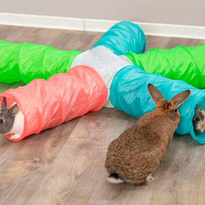 Túnel com 5 braços para roedores e pequenos animais