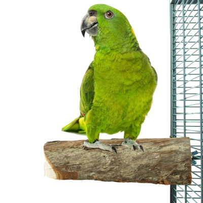 Degrau em Madeira Natural