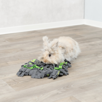 Tapete de foraging para coelhos e roedores