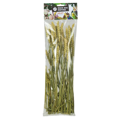 Espiga de trigo (50g)