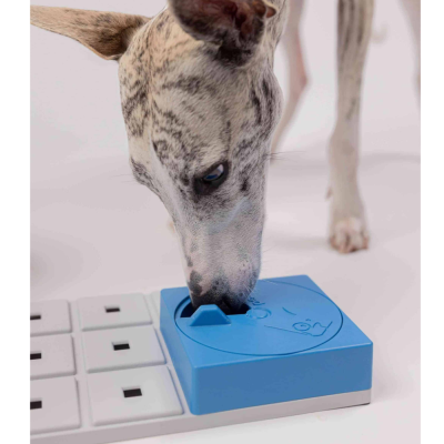 Cão a interagir com brinquedo de treino mental azul sobre tabuleiro branco