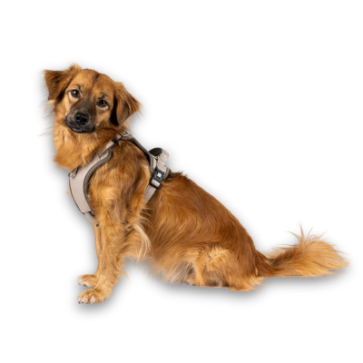 GOTCHA! Smart ID Sport Harness - Matrix 2.0 Areia