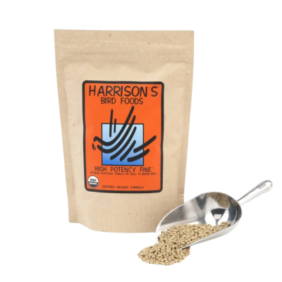 Fino Alta energia - Harrison's