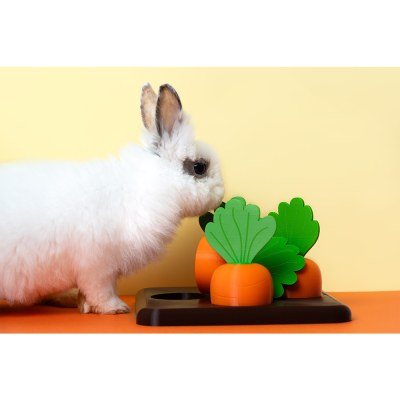 Tabuleiro de Foraging de Cenouras