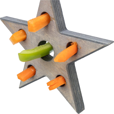 Estrela de Natal - foraging