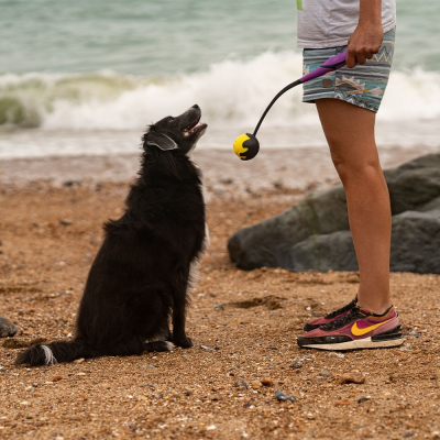 Lançador de bolas para cães com bola preta e amarela numa praia com água ao fundo.