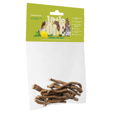 Raiz de dente-de-leão - Little One