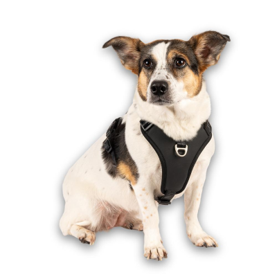 GOTCHA! Smart ID Sport Harness - Matrix 2.0 Preto