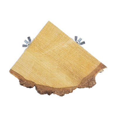 Plataforma tronco para canto