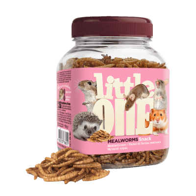 Tenébrios desidratados - Little One